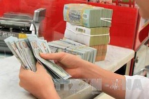 Giá USD gần như đi ngang