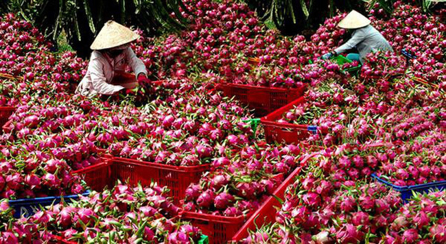 Trung Quốc nâng chuẩn ngang Mỹ: Hàng Việt đứng hóng, khó quá thì bỏ