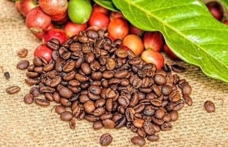 Giá cà phê trái chiều trên thị trường thế giới, Robusta có xu hướng đi lên mạnh.