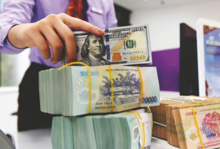 Tỷ giá VND/USD 8/8: Biến động mạnh trên thị trường tự do
