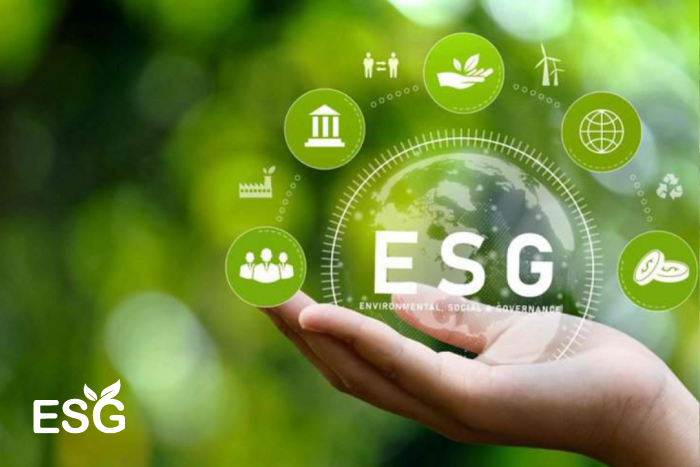 Tiếp cận ESG: Bắt đầu từ đầu, làm sao tối đa hiệu quả nguồn lực?