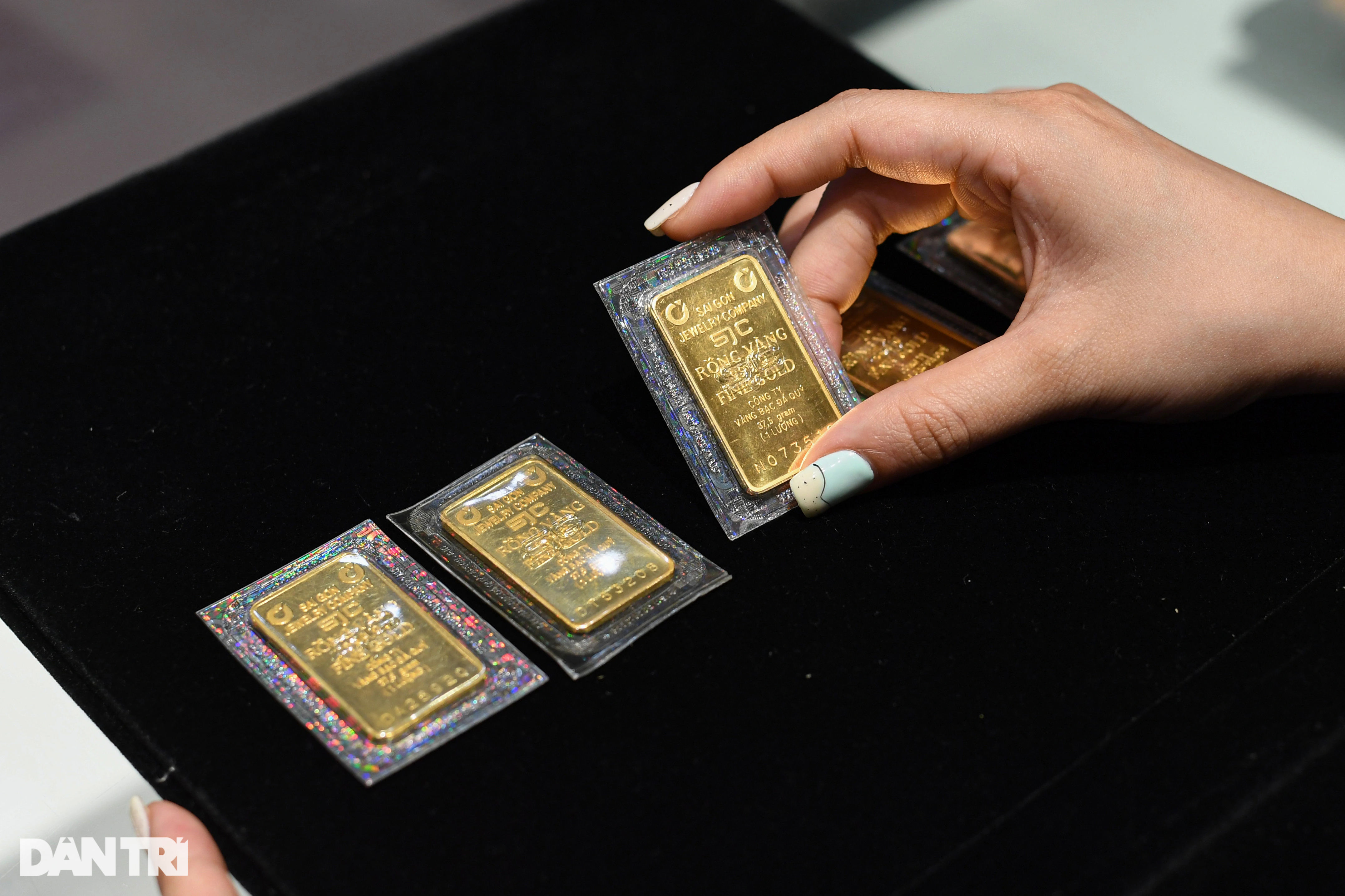 Sau 5 phiên đấu thầu, mỗi lượng vàng miếng tăng gần 7 triệu đồng