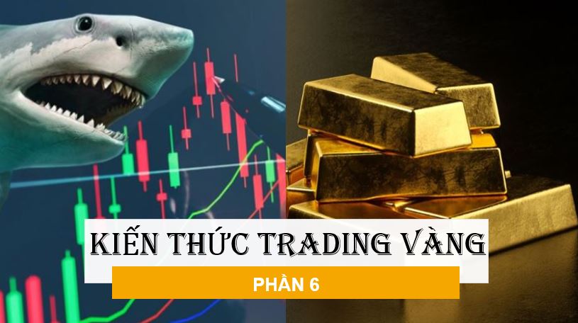 KIẾN THỨC TRADING VÀNG – Phần 6: Tìm hiểu các quỹ &#8220;cá mập&#8221; có tác động vào vàng