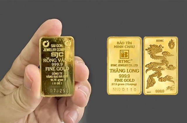 Vàng miếng ngày 12/9: Rơi tự do, NĐT đu đỉnh đầu tuần đã lỗ 7 triệu