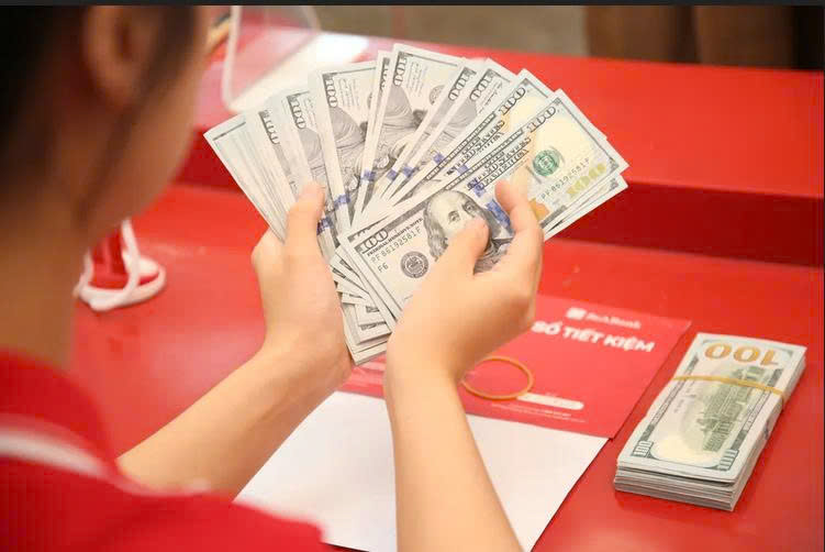 Tỷ giá USD/VND ngày 24/8: Nhiều NHTM nâng giá USD khi TGTT cao kỉ lục 25.600