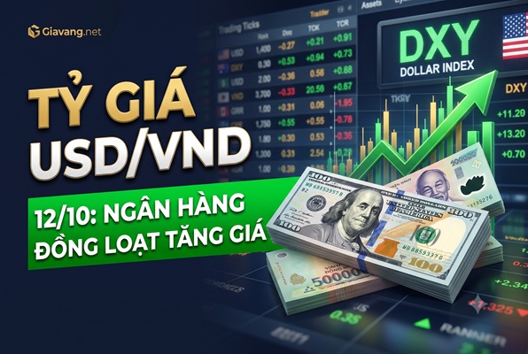 Tỷ giá USD/VND ngày 12/10: Tỷ giá trung tâm hạ nhiệt, ngân hàng thương mại đồng loạt tăng giá