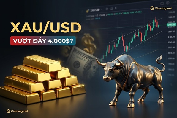 Vàng hồi phục vượt 4.000 USD/oz: Bắt đáy thành công hay cú lừa “bẫy tăng giá” (Bull Trap)?