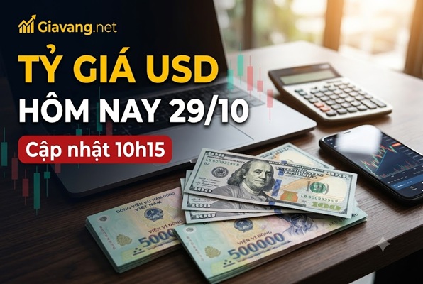Tỷ giá USD hôm nay 29/10: Ngân hàng phân hóa, TGTT tăng lên 25.644