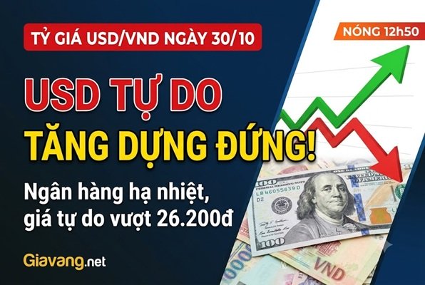 Tỷ giá USD/VND ngày 30/10: Giá đô tại các NH giảm theo TGTT, USD tự do tăng